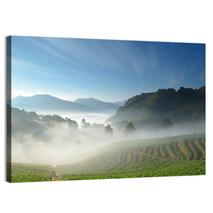 Sunlit Terraced Tea Hills Wall Art as a canvas print