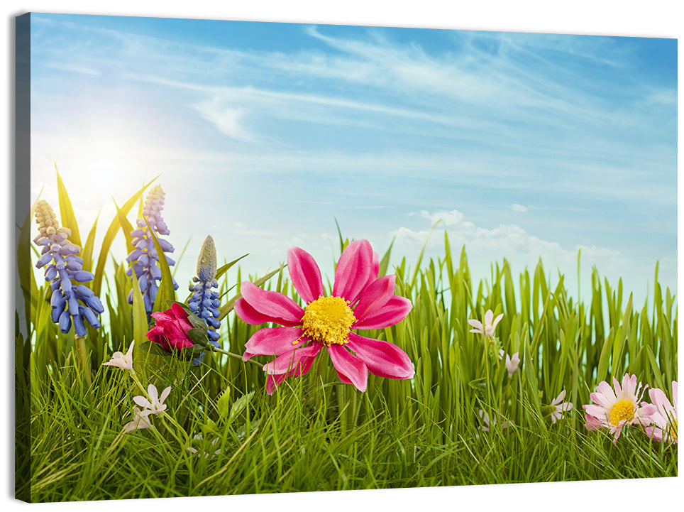 Pink Daisy and Blue Hyacinths in Spring Grass Wall Art