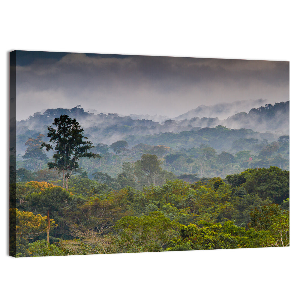 Guinea Rainforest Landscape Wall Art