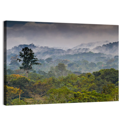 Guinea Rainforest Landscape Wall Art