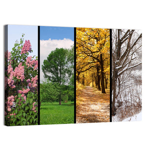 Four Seasons Trees Wall Art