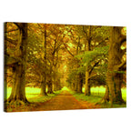 Beech Tree Lane at Golden Hour Wall Art