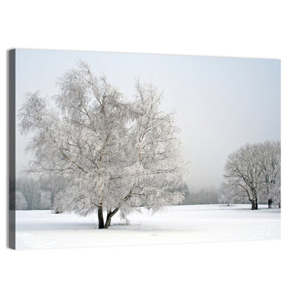 Frosted Birch Grove Wall Art