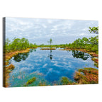 Viru Bog Reflections Wall Art