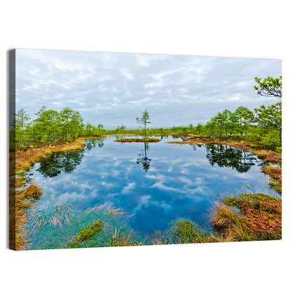 Viru Bog Reflections Wall Art