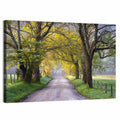 Sparks Lane, North Carolina Wall Art