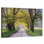 Sparks Lane, North Carolina Wall Art