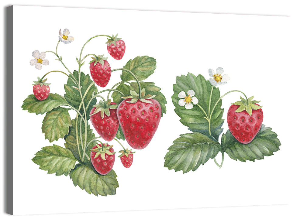 Fresh Strawberry Botanical Illustration Wall Art, canvas print, landscape
