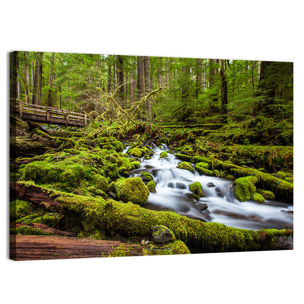 Mossy Cascade Forest Stream Wall Art, canvas print, landscape