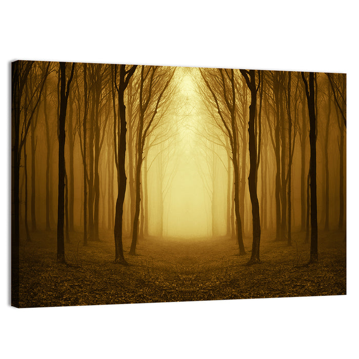 Lonely Forest Path Wall Art as a canvas print
