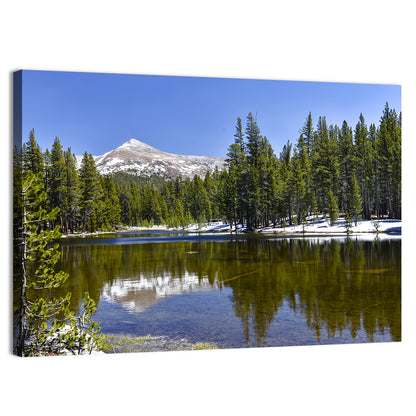 Yosemite Mountain Reflection Wall Art