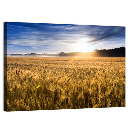 Golden Hour Wheat Field Wall Art