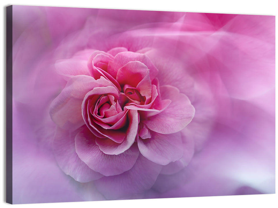 Ethereal Pink Rose Bloom Wall Art