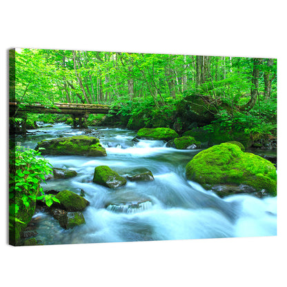 Mossy Forest Stream Wall Art