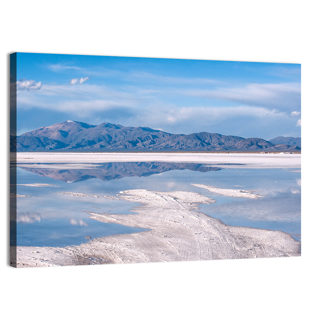 Salinas Grandes Salt Flats Wall Art