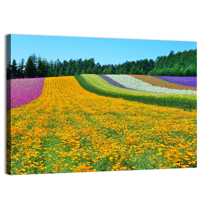 Tomita Flower Fields, Nakafurano Wall Art as a canvas print