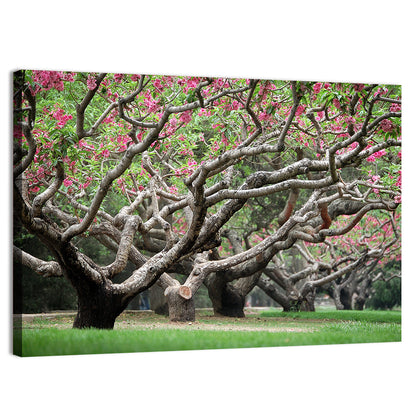 Peach Orchard in Bloom Wall Art