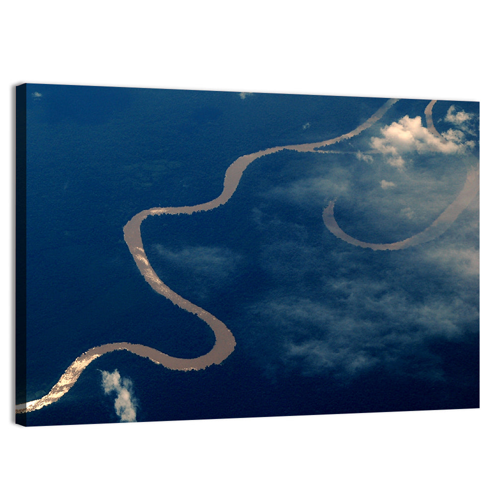 Sunlit Meander of the Amazon River Wall Art, canvas print, landscape