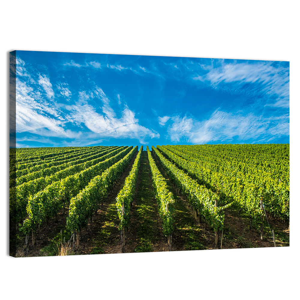Luxembourg Vineyards Wall Art, canvas print, landscape
