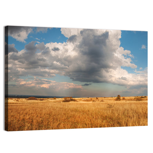 Oklahoma Prairie Field Wall Art