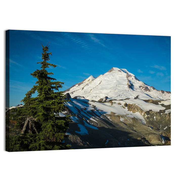 Mount Baker Wall Art as a canvas print