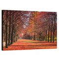 Tree-lined Autumn Lane Wall Art