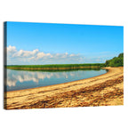 Lake Pskov Shoreline Wall Art