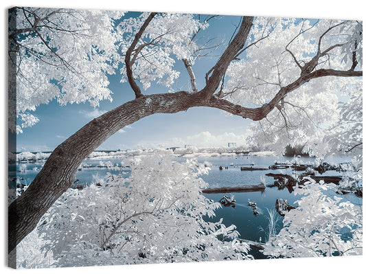 Curving Winter Tree Over Lake Wall Art