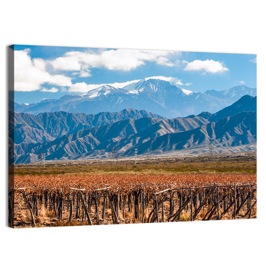 Volcano Aconcagua And Vineyard Wall Art