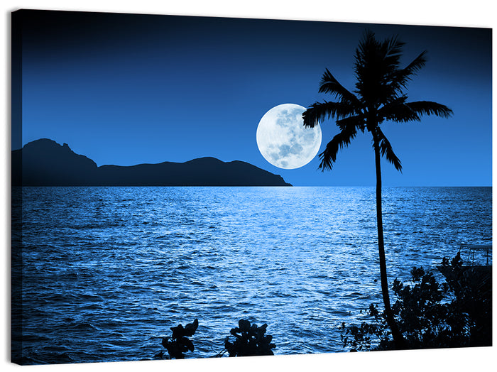 Moonlit Tropical Shore Silhouette Wall Art as a canvas print