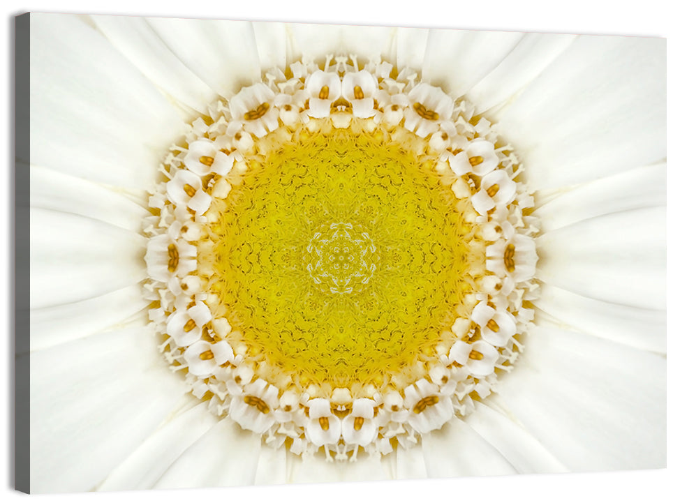 White Flower Mandala Kaleidoscope Wall Art