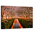 Meguro River Cherry Blossoms Wall Art