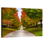 Tree-lined Farm Lane, Kentucky Wall Art