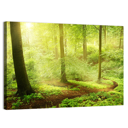 Sunlit Forest Path Wall Art