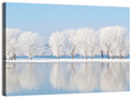 Frosted Winter Trees Reflected on a Quiet Lake Wall Art