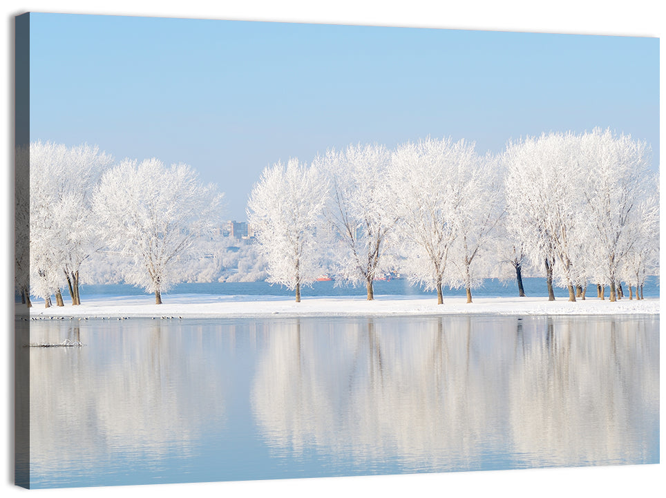 Frosted Winter Trees Reflected on a Quiet Lake Wall Art