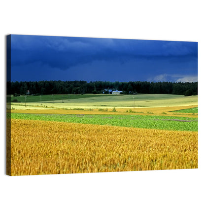 Cornfields Under Stormy Sky Wall Art