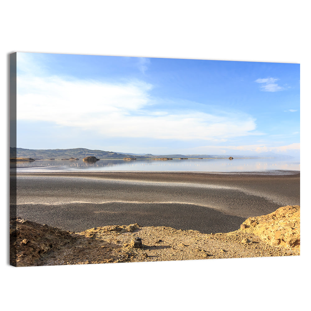 Lake Natron Flamingos Wall Art