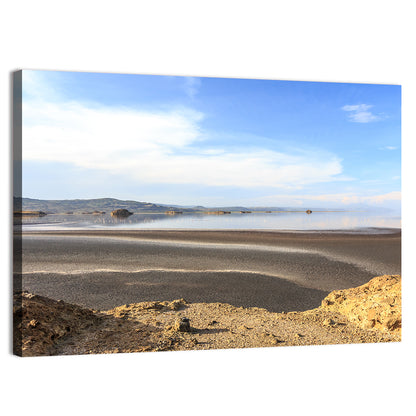 Lake Natron Flamingos Wall Art