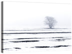 Foggy Winter Field with Lone Tree Wall Art