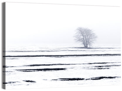 Foggy Winter Field with Lone Tree Wall Art