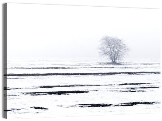Foggy Winter Field with Lone Tree Wall Art