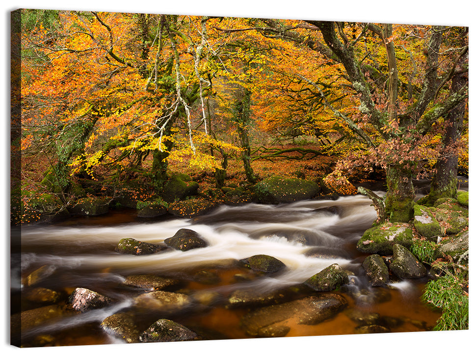 Dartmoor Autumn River in Golden Forest Wall Art