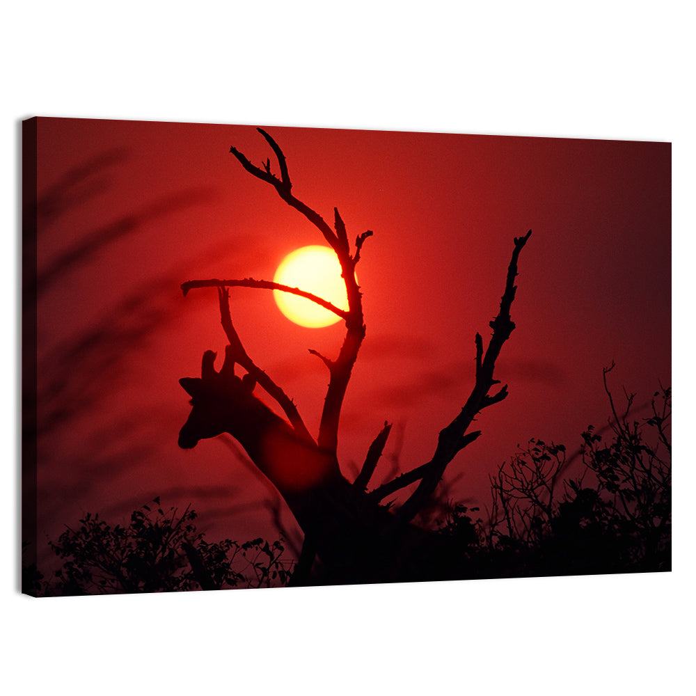 Giraffe Silhouette at Sunset Wall Art, canvas print, landscape