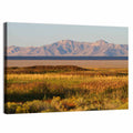 Antelope Island and Wasatch Mountains Wall Art