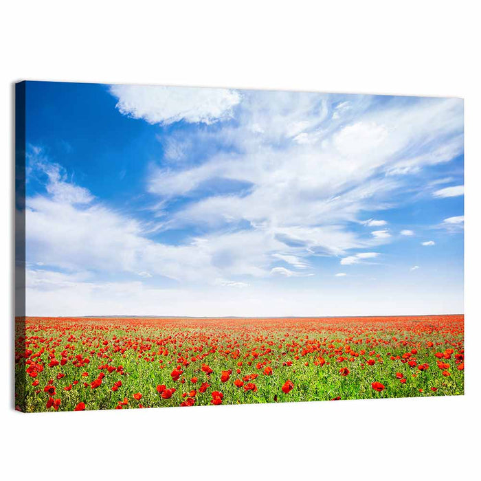 Red Poppy Field Wall Art as a canvas print
