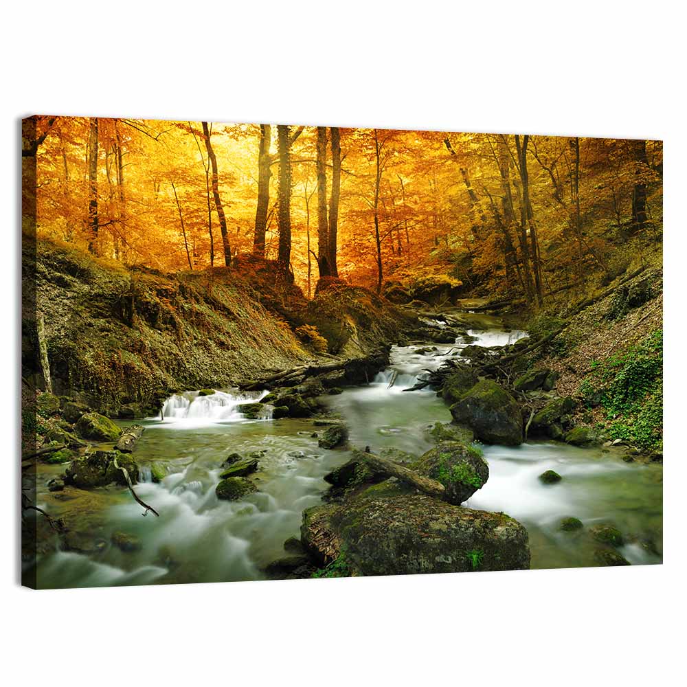 Sunlit Forest Stream Wall Art