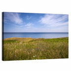 Atlantic Coastal Meadow Wall Art