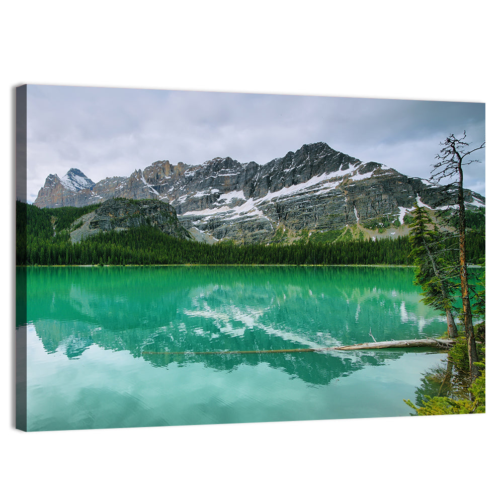 Lake O'hara Reflection Wall Art
