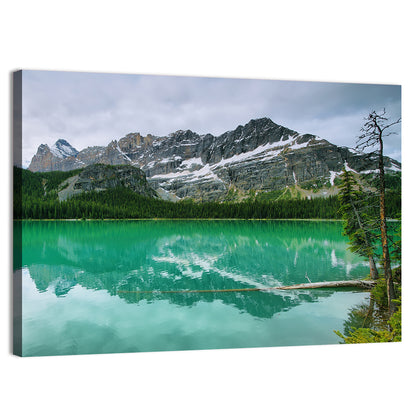Lake O'hara Reflection Wall Art
